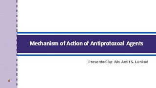 MOA of antiprotozoal agents [upl. by Nimra582]