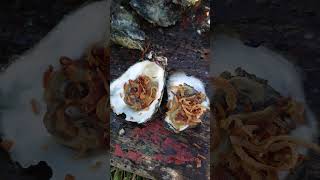 Oyster Catch and Feast Shucking Wild Oysters with a Tasty Sauce Recipe [upl. by Ellicec385]