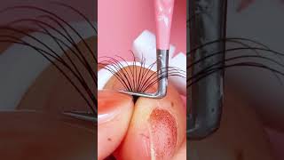 eyelash extensions fans for beginners lashtech lashtips lashinspo beginnerlashtech lashes [upl. by Sachsse]