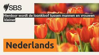 Hierdoor wordt de loonkloof tussen mannen en vrouwen kleiner  SBS Dutch  SBS Nederlands [upl. by Monda]