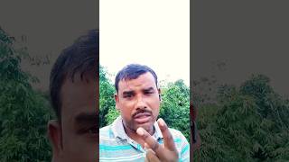 एक दिन जरूर आएगा comedy gorakhpuriyabhaujicomedy shortvideogorakhpuriyabhauji53 Noor Up57 medy [upl. by Ner]