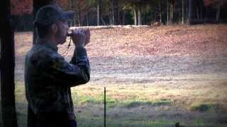 Crow Call by WildTalker Game Calls with Mike Battey [upl. by Beichner]