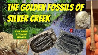 Golden Fossils of Silver Creek Trilobites Cephalopods Fossil Hunting and Collecting With Chris [upl. by Baiss481]