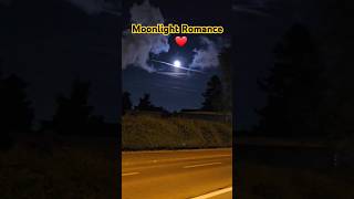 Moonlight Romancemoonnightlove [upl. by Hecker474]