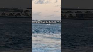 Maldives surf point 🇲🇻 maldives surfing youtubeshorts travel [upl. by Kaltman]