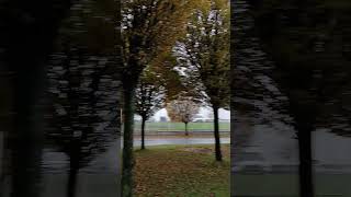 Autumn In Finglas dublin ireland shorts [upl. by Charmine945]