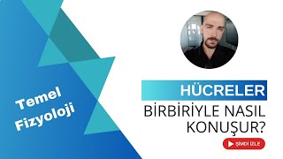 Hücreler Arası İletişim Gap Junctions Parakrin Otokrin Sinirsel İletişim Endokrin İletişim [upl. by Juieta]