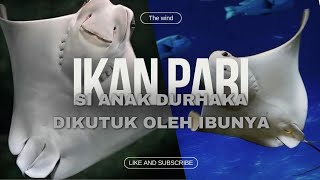 Fakta Ikan Pari Anak Durhaka dikutuk ibunya [upl. by Assinna]