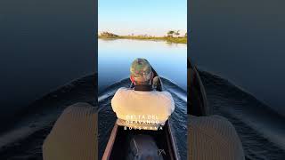 Así puede ser un día de Safari en el Delta del Okavango WE💚AFRICA LuxuryAfrica botsuana safari [upl. by Tigirb]