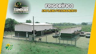 FRIGORIFICO RANCHO TAMBORI [upl. by Ymme993]