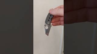 He was black Spyderco McBee shortvideo youtubeshorts tolkien [upl. by Akeret]