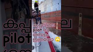 Ship pilot salary 🙄🙄  കപ്പലിലെ പൈലറ്റ് നു ഇത്ര ശമ്പളമോ 😳 shipvlog malayalam shyam the sailor [upl. by Leipzig]