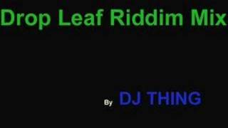 drop leaf riddim mix  dj thing [upl. by Messere501]