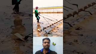 🤔விதை விதைக்க சூப்பர் ஐடியா⁉️  Super Farm Idea💯 trending seedsowing tipsandtricks ideas shorts [upl. by Santa]