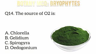 Top biology mcq practice  Bryophyta  Botany mcq  Liverworts amp mosses mcq [upl. by Willock]