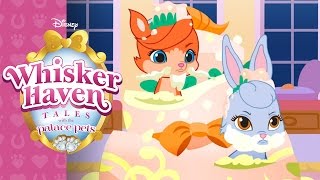 Caketillion  Whisker Haven Tales with the Palace Pets  Disney Junior [upl. by Sanjay189]