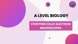 Whole of Unit 1 AQA GCSE Biology  Cell Biology [upl. by Barnet]