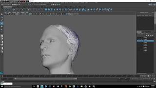 Ornatrix Maya Male head and facial hair tutorial [upl. by Anifares]