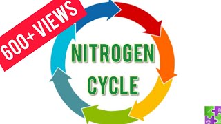 Nitrogen Cycle  Tamil  Explained [upl. by Wolsky]