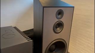 One of the best HiFi in the world Danish Audio Design [upl. by Hedvah]