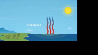 Biogeochemical Cycles [upl. by Franck]