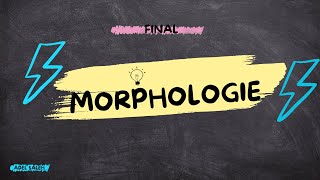 Morphologie  Final [upl. by Nivaj]