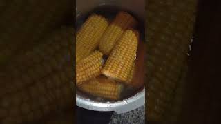 🌽 Corn ytshorts viralshort corn nrvlogs viralshorts [upl. by Libna]