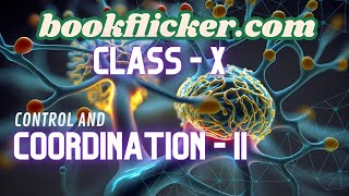 Control and Coordination in CBSE Class 10 Science Key Concepts for 202425 Exam Part II [upl. by Anilrahc]