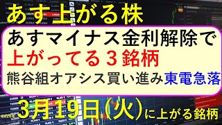 あす上がる株 2024年３月１９日（火）に上がる銘柄 ～最新の日本株での株式投資。初心者でも。日銀のマイナス金利解除直前で上げてる銘柄。東京電力が急落。熊谷組をオアシスが買い進み～ [upl. by Atsev122]