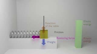 Animation of a damped harmonic oscillator physics mechanics [upl. by Waldron]