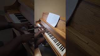 Chappell Roan  Femininomenon Piano Cover piano clarinet music cover chappellroan pop [upl. by Wilhelmina573]