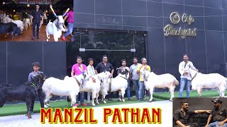 Manzil Pathan 2023 Collection  Kota Mafia  Biggest Kota Goats  Conversation With Manzil Pathan [upl. by Naresh773]