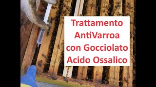 Gocciolato Acido Ossalico  Trattamento Anti Varroa [upl. by Laws]