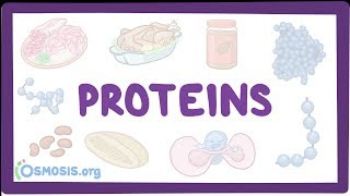 Proteins [upl. by Auhsohey]