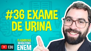 Exame de Urina  Flashdica 36  Maratona Enem  Prof Gui [upl. by Htinek]