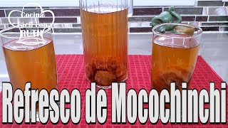 REFRESCO DE MOCOCHINCHI PELON OREJON Muy rico fácil y con pocos ingredientes ¡Pruébalo [upl. by Yatnuahc]