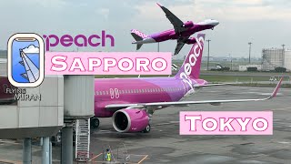 To Tokyo From Sapporo  peach  A320Neo [upl. by Ehr]