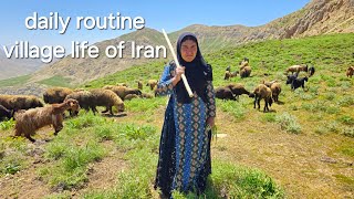 IRAN nomadic life  daily routine village life of Iran  Nomadic lifestyle of Iran [upl. by Missak353]