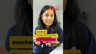 GERMAN Verbs  Part 3🇩🇪🤯 schauen vs anschauen shorts indian india hindi germanlanguage [upl. by Lonergan543]