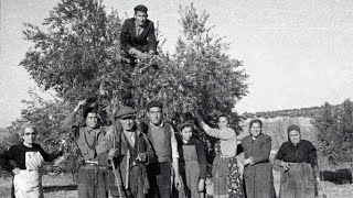 Andaluces de Jaén versión de Paco Ibáñez [upl. by Parry]