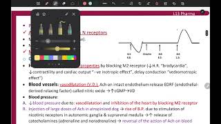 L13 Pharma  parasympathomimetics  General [upl. by Euqinehs]