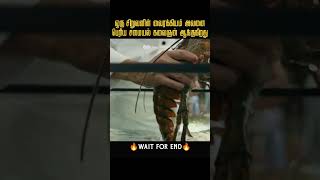 Hunger made him rich 😳😱Tamil voice over shortsfeed tamilvoiceover moviesexplainedintamil tamil [upl. by Meibers]