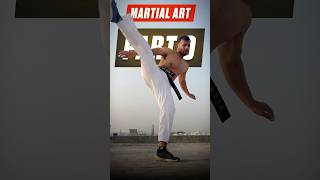 Part 9 Stamina Drills😰 stamina martialartstraining training youtubeshorts martialartsforlife [upl. by Animsay919]