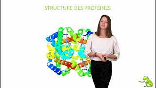 Structure des protéines [upl. by Colinson178]