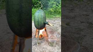 Survival Skills SIMPLE and USEFUL with steam bad water in watermelon bushcraft camping outdoors [upl. by Arie]