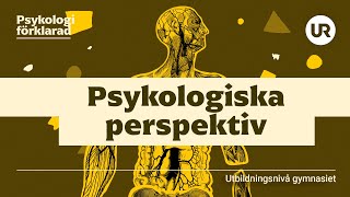 Psykologiska perspektiv förklarade  PSYKOLOGI  Gymnasienivå [upl. by Bowrah128]