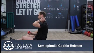 NECK PAIN  Semispinalis Capitis Release [upl. by Rihsab]