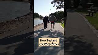 Porirua Park New Zealand wellington newzeland lovely beautiful relaxing nature [upl. by Fedak]