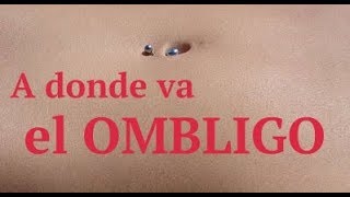 A donde va el ombligo [upl. by Engdahl]