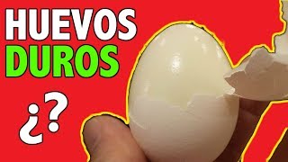 HUEVOS DUROS CALORÍAS PROTEÍNAS BENEFICIOS Y MÁS [upl. by Ezri238]